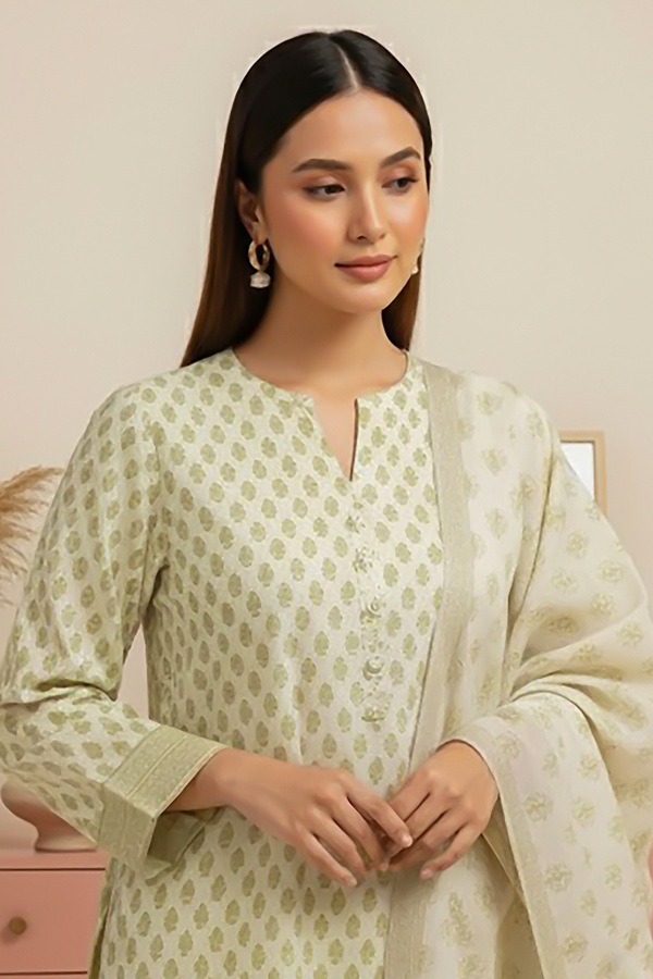 Tanabana fabrics 3 Piece - Printed Premium Khaddar - V5 - 06