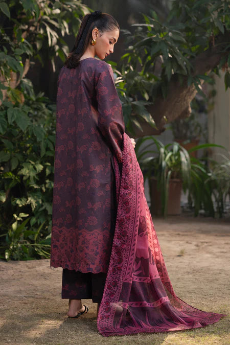 Xenia formals-ELLISA-B