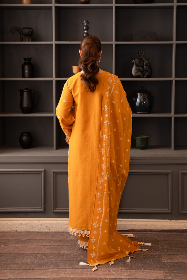 Tanabana-3 Piece - Embroidered Khaddar - V7 - 02