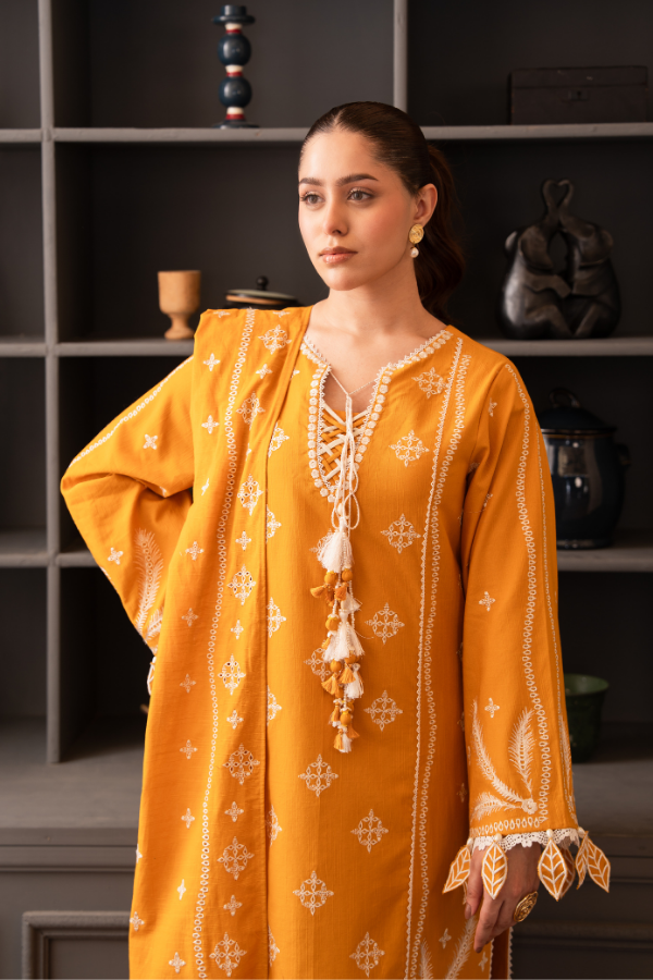 Tanabana-3 Piece - Embroidered Khaddar - V7 - 02