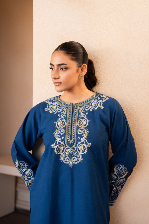 Tanabana Fabrics 2 Piece - Embroidered Khaddar Suit - AEK - 02