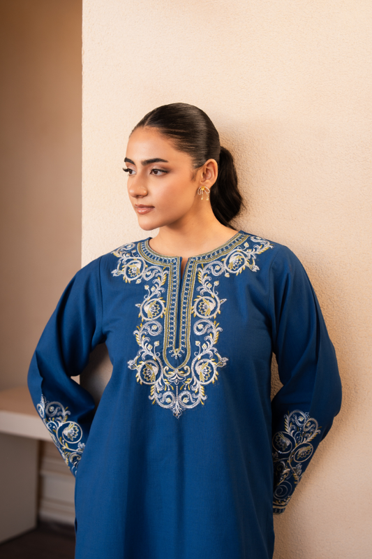 Tanabana Fabrics 2 Piece - Embroidered Khaddar Suit - AEK - 02