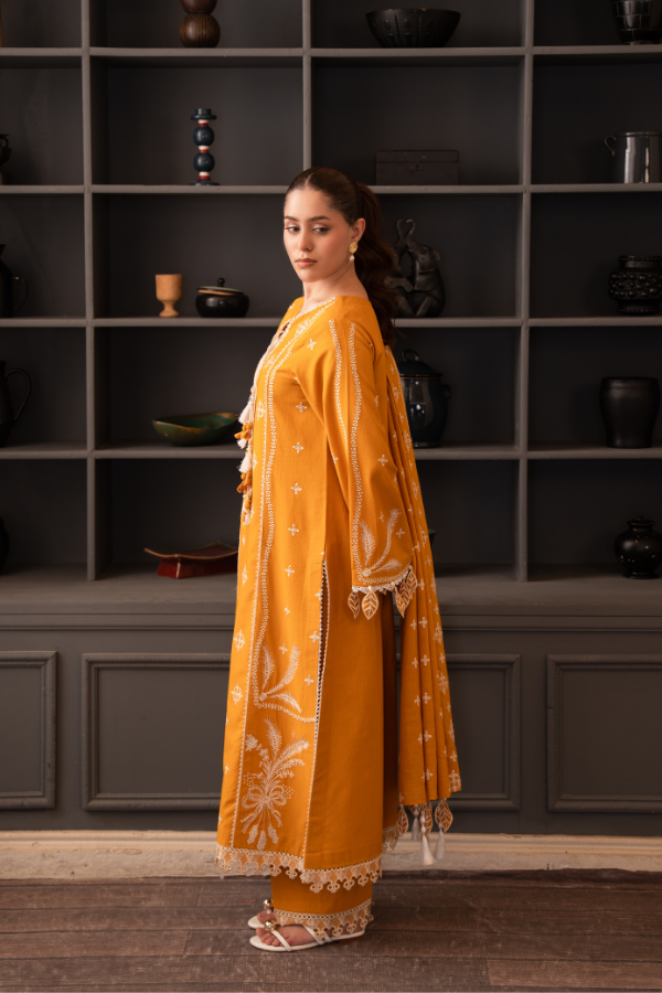 Tanabana-3 Piece - Embroidered Khaddar - V7 - 02